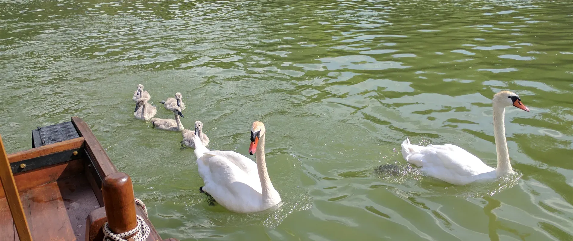 Kein Bildtext verfügbar