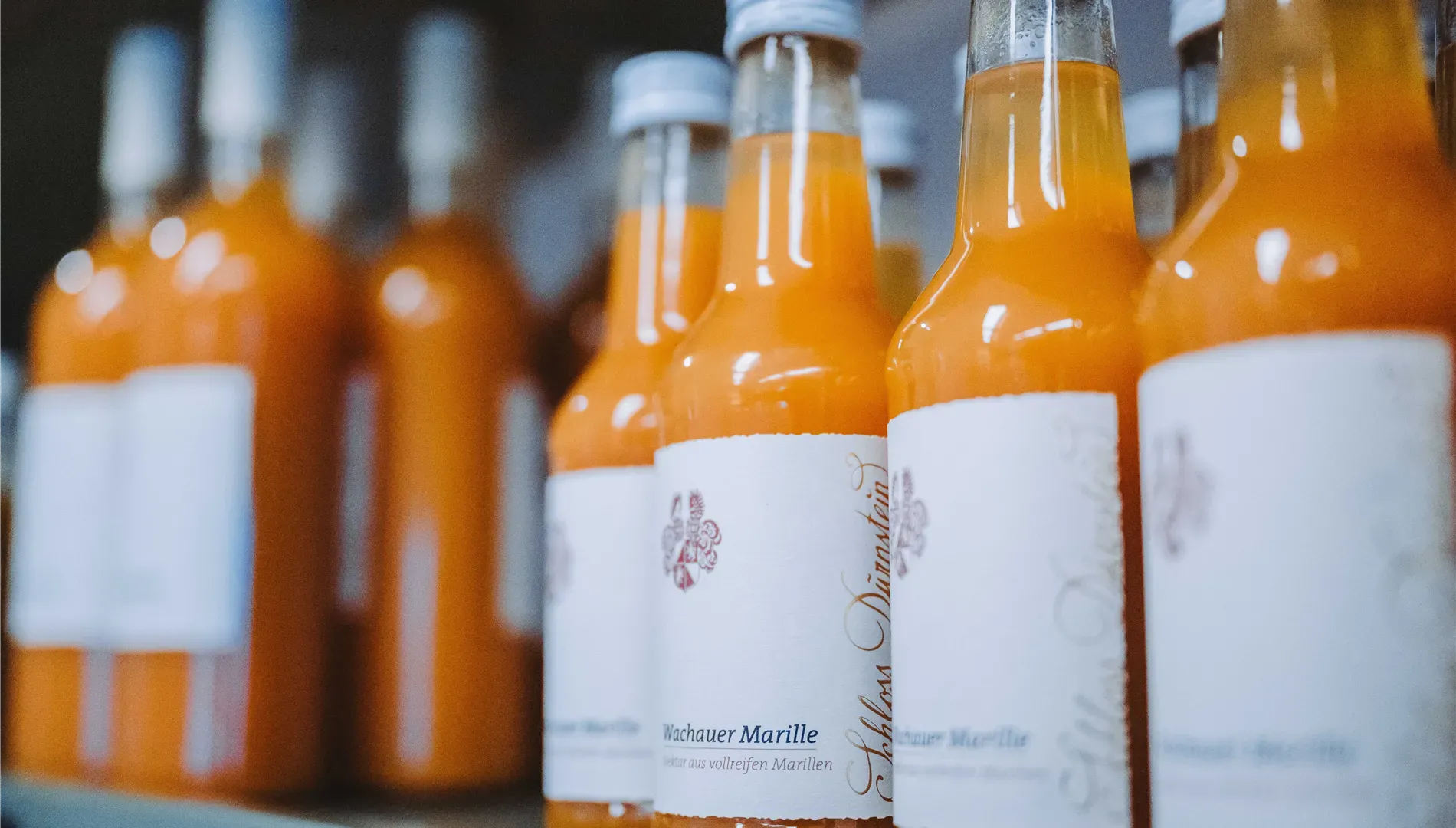 Kein Bildtext verfügbar