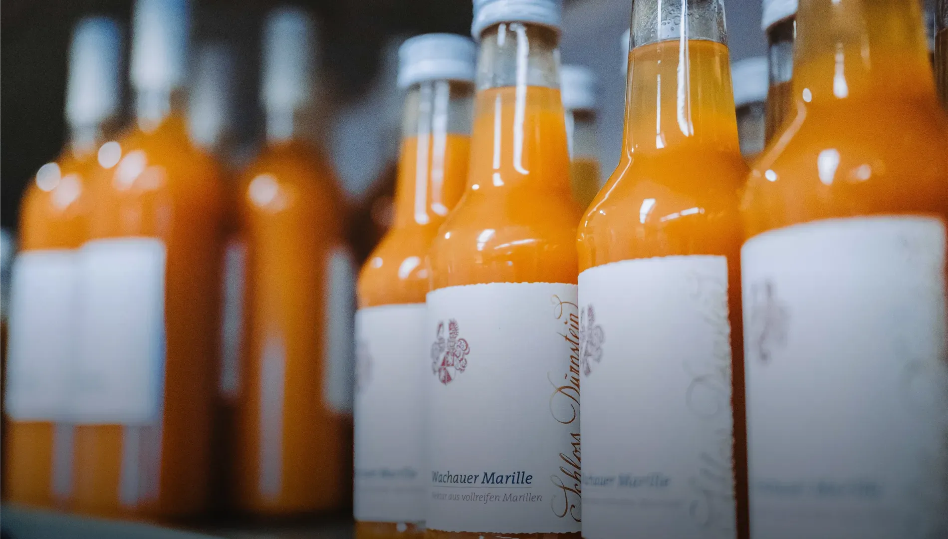 Kein Bildtext verfügbar